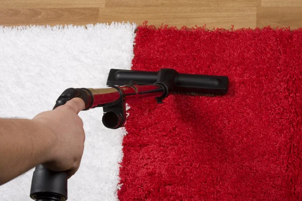 Professional carpet cleaning